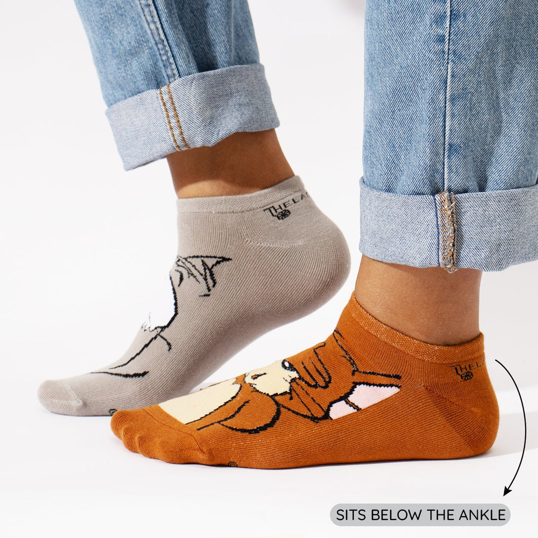 Tom & Jerry : Faces A-B Socks