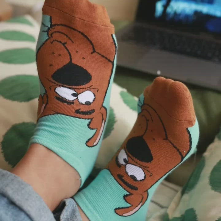 Scooby-Doo: Socks (Pack of 5)